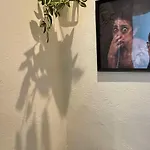 Mini 15 بيلوند